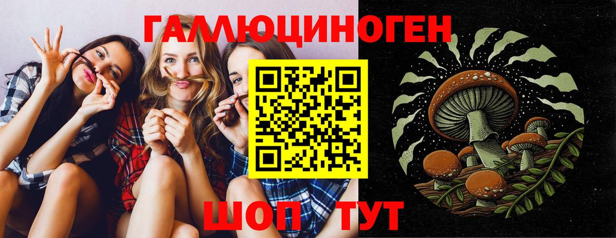 Рославль  Псилоцибиновые грибы Psilocybine cubensis  Вход с VPN 